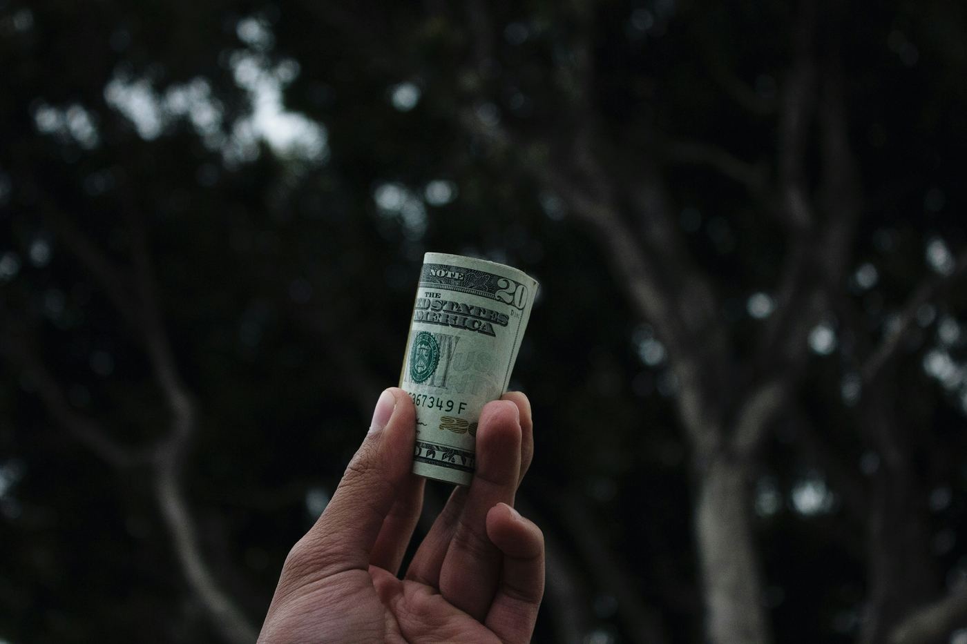 a dollar bill - Video Production Cost 