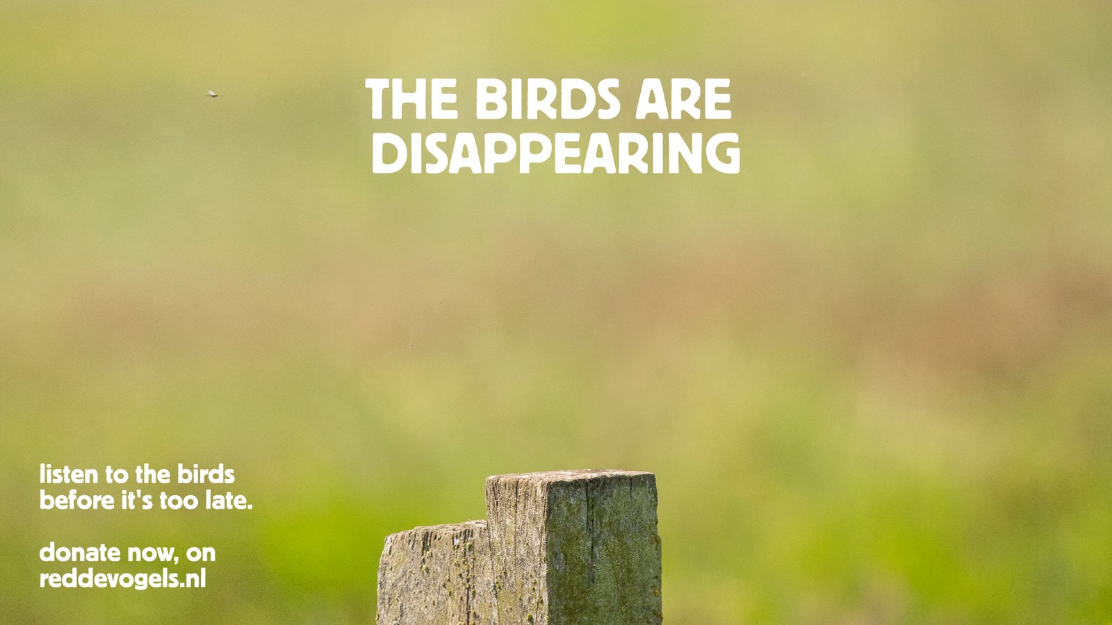 An empty wooden fence post in a blurred green field under the headline The birds are disappearing, with the lines listen to the birds before it's too late and donate now, on reddevogels.nl