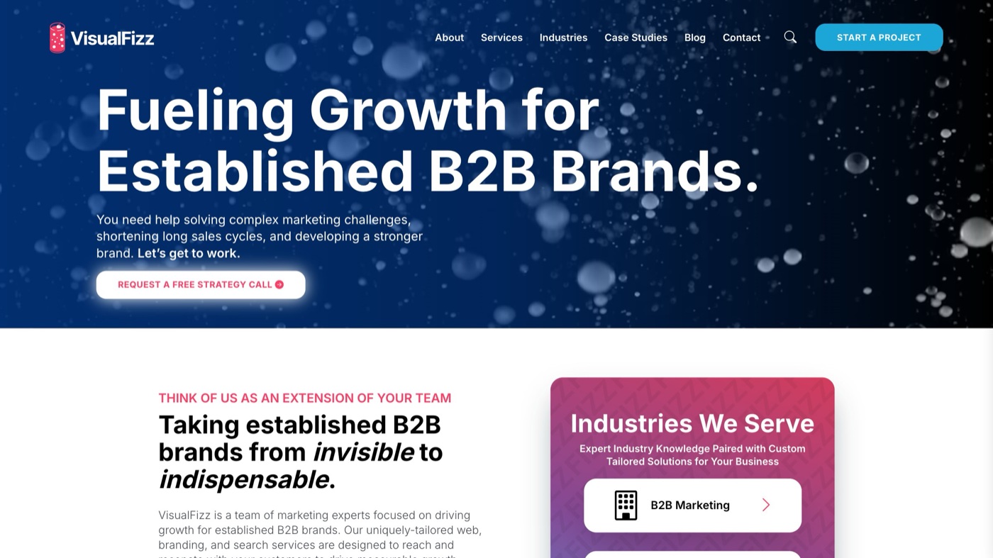 VisualFizz homepage