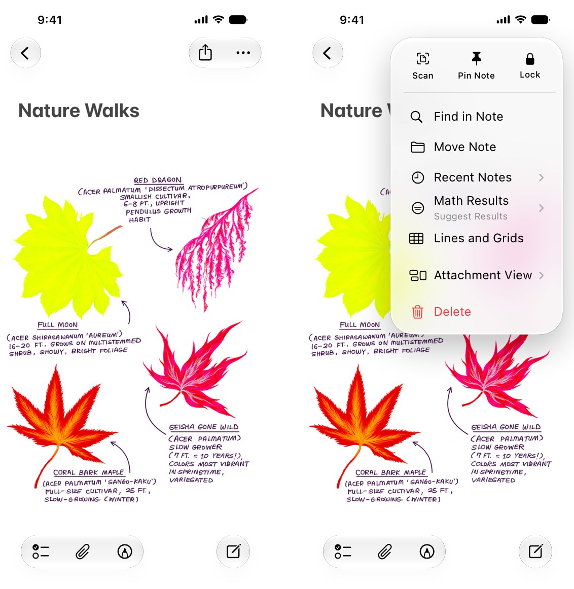 Two iPhone screenshots of Apple Notes: the More button in the top toolbar, then the More menu expanded from it with Scan, Pin Note, Lock, Find in Note and Delete